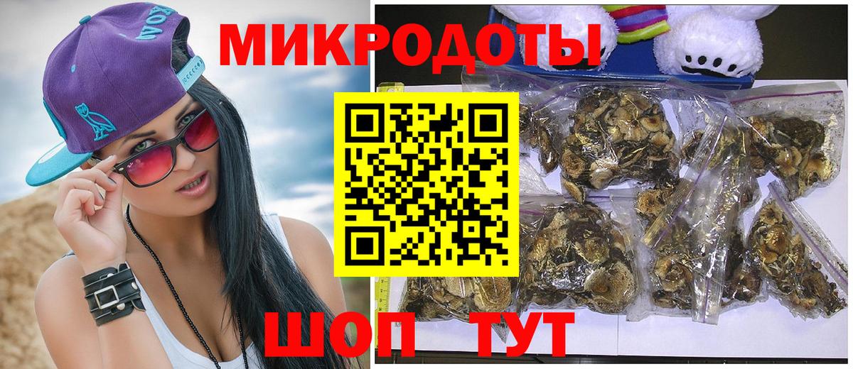 Псилоцибиновые грибы Psilocybe  Вход с VPN  Дубна 